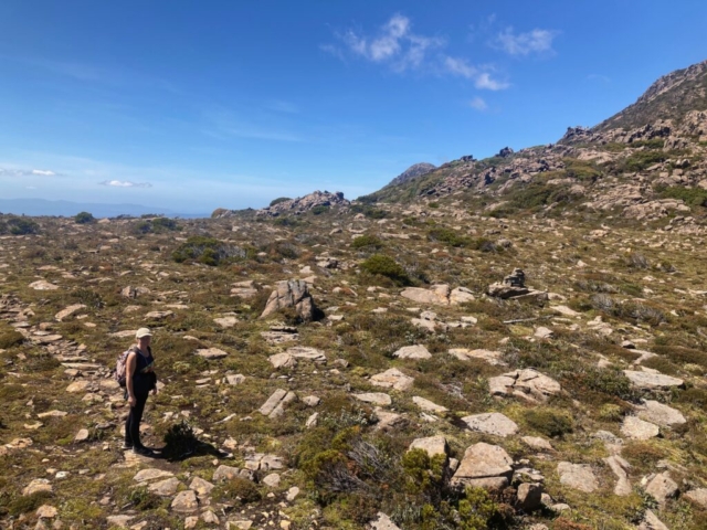 On our second visit to Hartz Mountains National Park, LB came with us