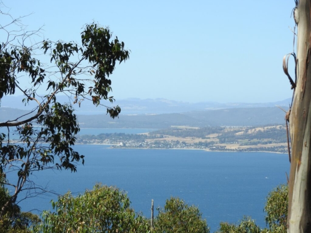 View from the top of the hill in Tinderbox Reserve