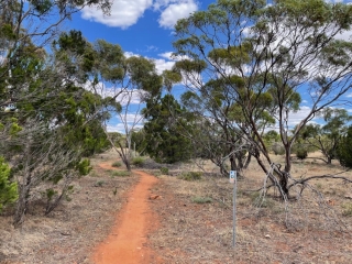 Trail in the park