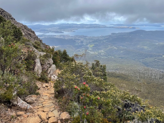 View over Hobart as we come down the trail