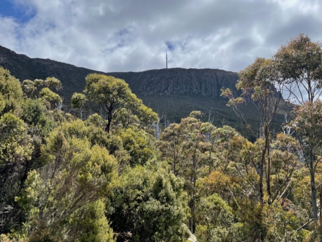 The summit and Organ Pipes rocks as viewed from below