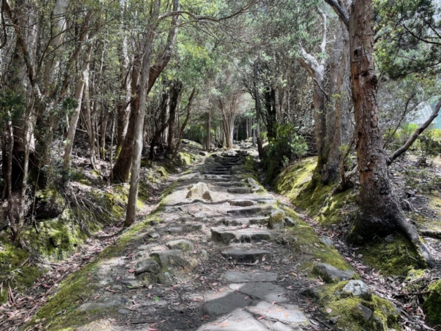 Start of the trail back up to the summit from The Springs