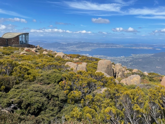 Viewing gallery at the top