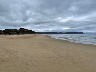 On the beach at the Neck