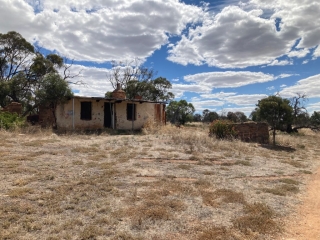 Abandoned building in the park