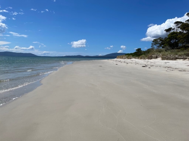 White sandy beach on the Labillardiere Peninsula Walk