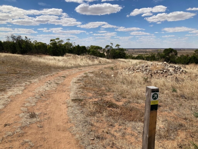 One of the higher up trails