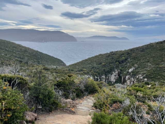 View along the trail