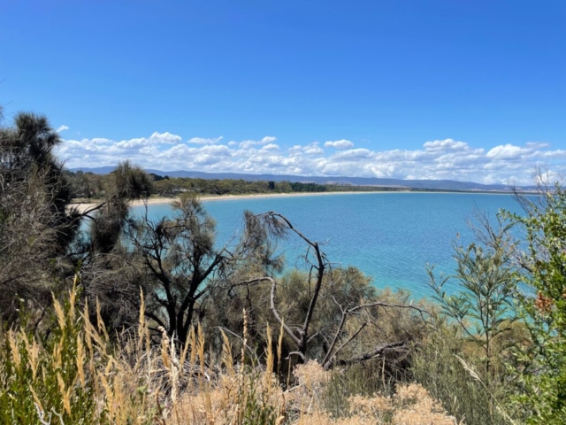 View of Seven Mile Beach from the cliffs