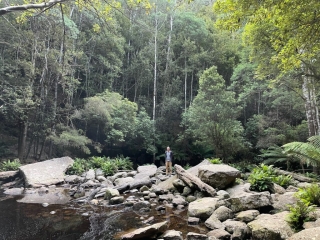 PB in the forest below the falls