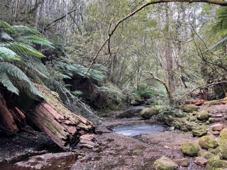 The river flowing from the falls