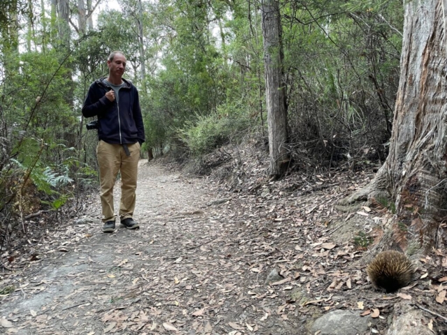 PB with his echidna friend