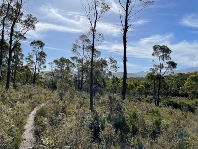 In the Peter Murrell Conservation Area