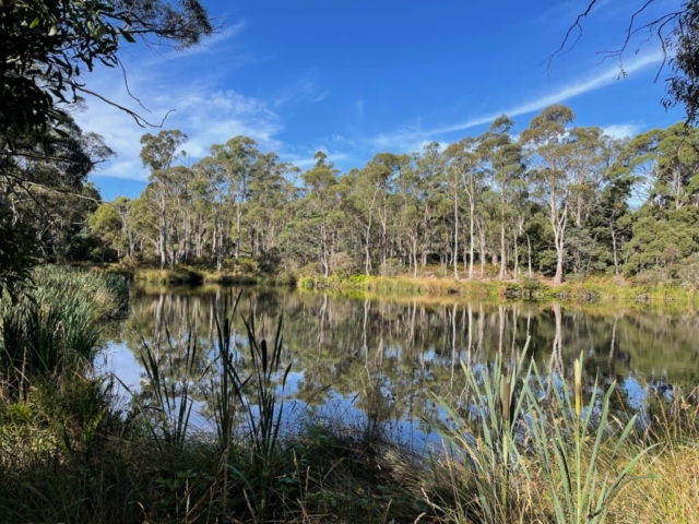 Lake in the Peter Murrell Conservation Area