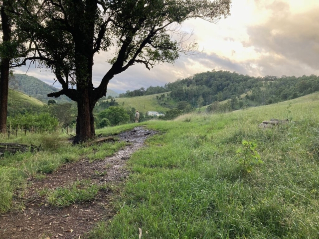 View of the hills at Solitude