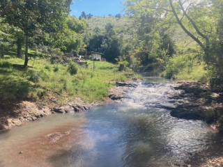 The creek has plenty of water after all the rain