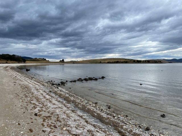 The walk started along a beach covered in shells