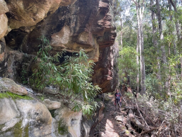 PB on the trail on kunanyi / Mt Wellington