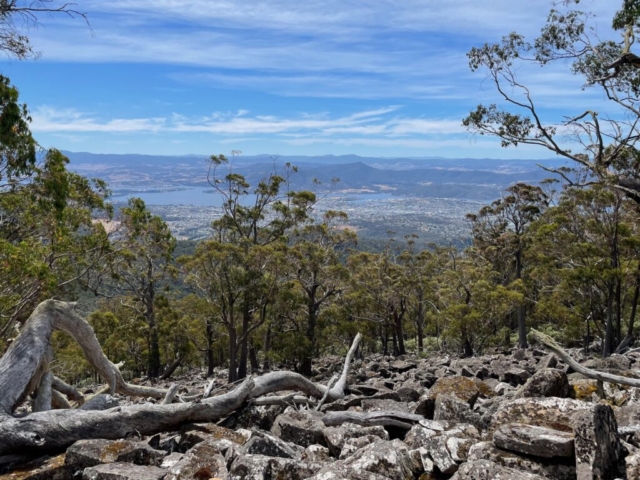 View from the trail on kunanyi / Mt Wellington