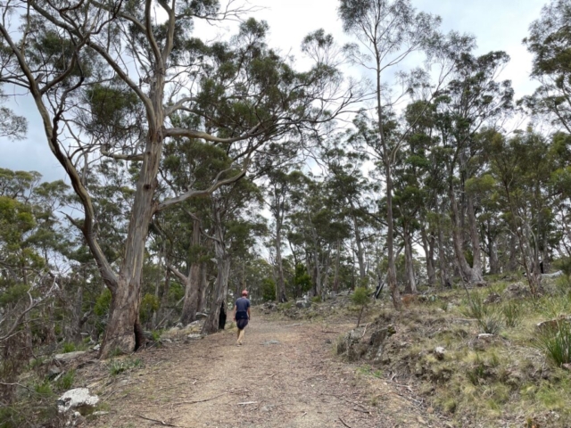 PB in the Knocklofty Reserve