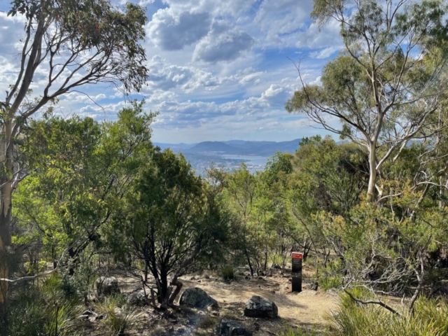 On the way up Mount Nelson