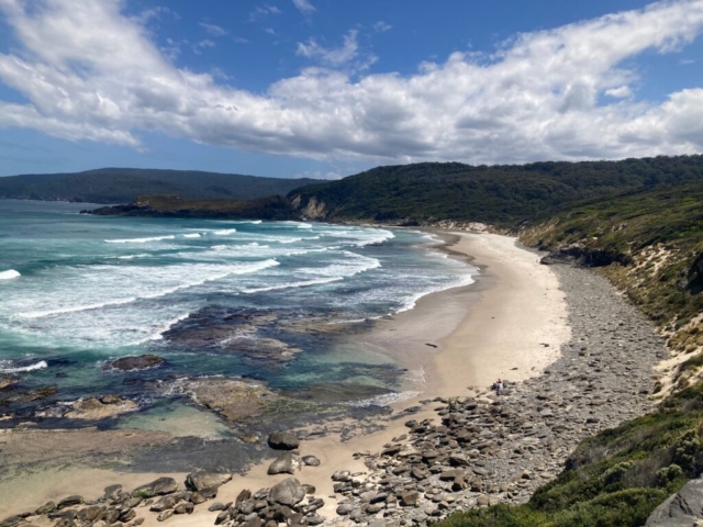 Overlooking the beach at South Cape Bay