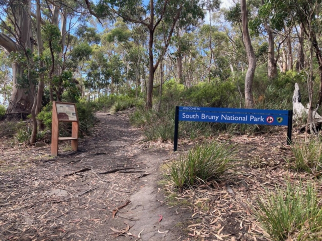 Entrance to the forest part of the walk