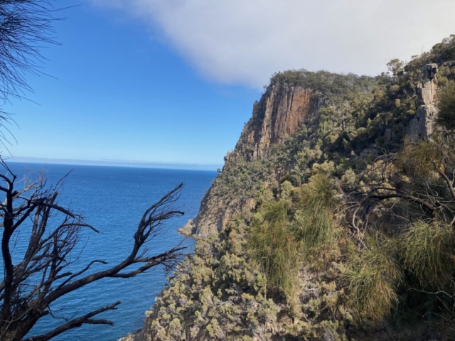 View of the Fluted Cape