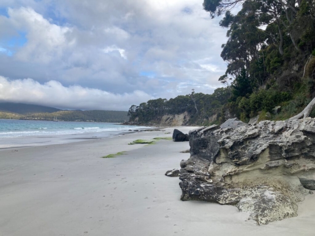 Along the beach near Two Tree point