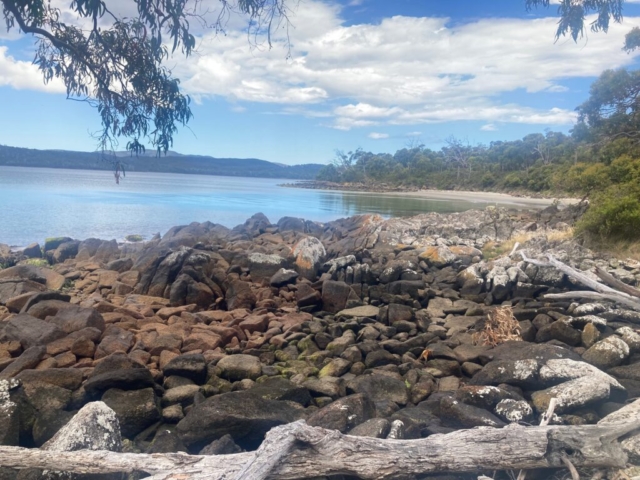 Beach view from the forest on the final stretch