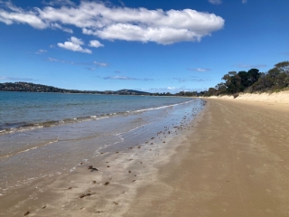 The Beach at Lauderdale