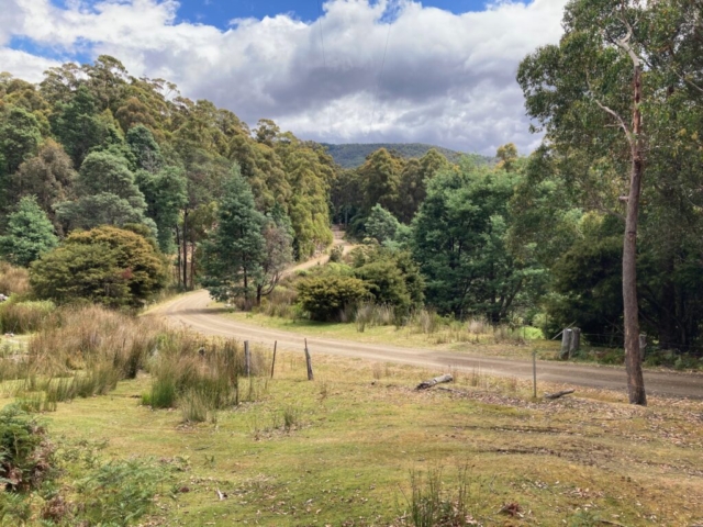 View of the driveway from the road