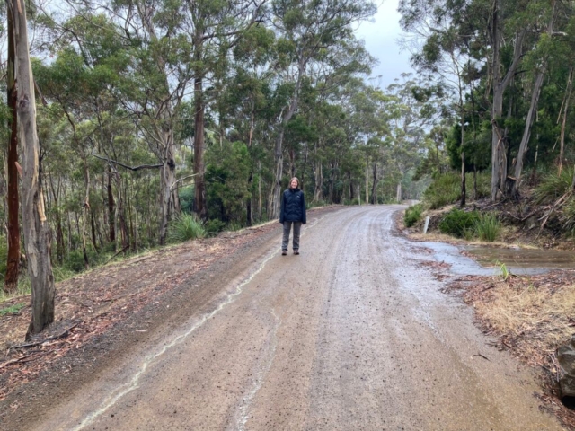 CC in the rain on the road up from Snug