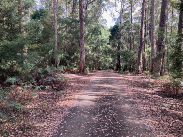 The driveway was quite long...