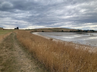 Continuing the walk in Arm End Reserve
