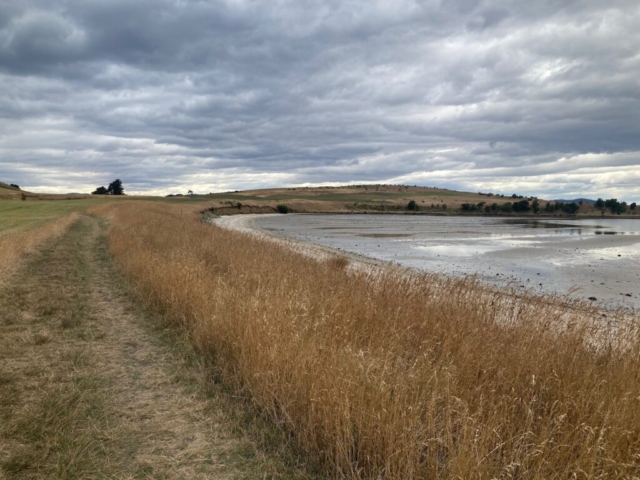 Continuing the walk in Arm End Reserve