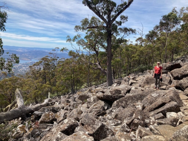 CC on the trail on kunanyi / Mt Wellington