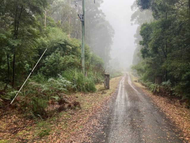 Driveway on a misty day