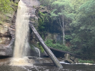 On our last visit to the falls, the weekend rain had increased the water volume dramatically