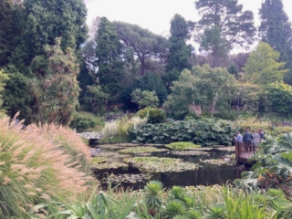 Hobart Botanical Gardens