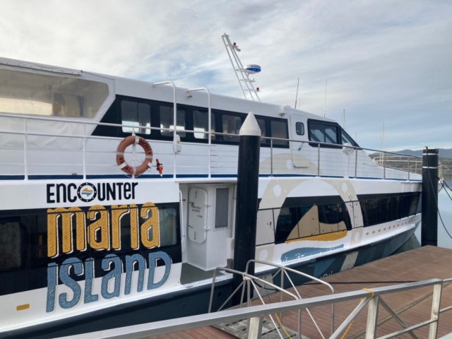 The ferry to Maria Island