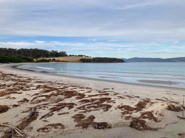 Beach on Maria Island