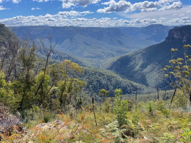 View from Point Pilcher