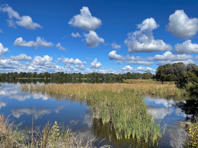 The fringes of Lake Burley Griffin