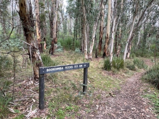 Start of Booroomba Rocks trail