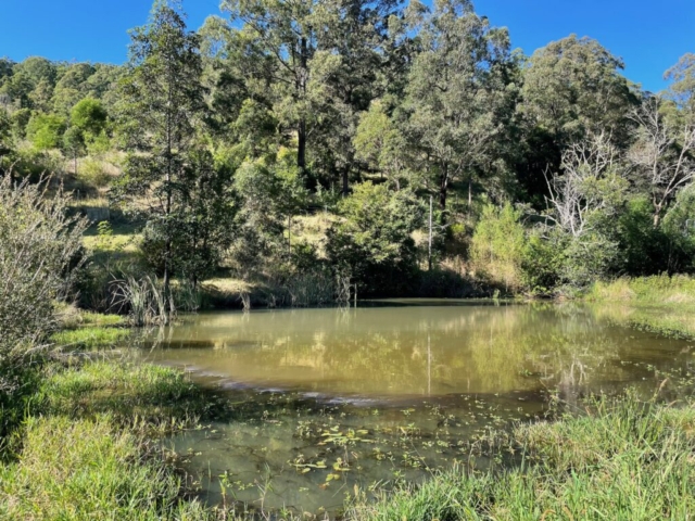 View of the dam