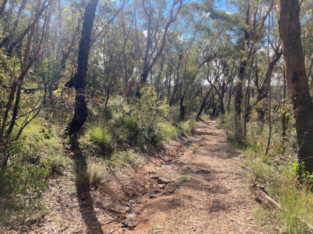 The trail down to Point Pilcher