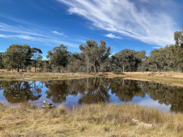 One of the lakes in Mulligans Flat