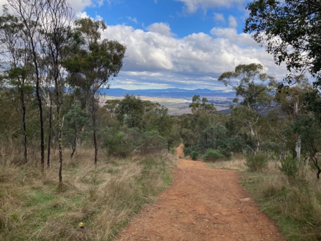 The track on Mount Majura