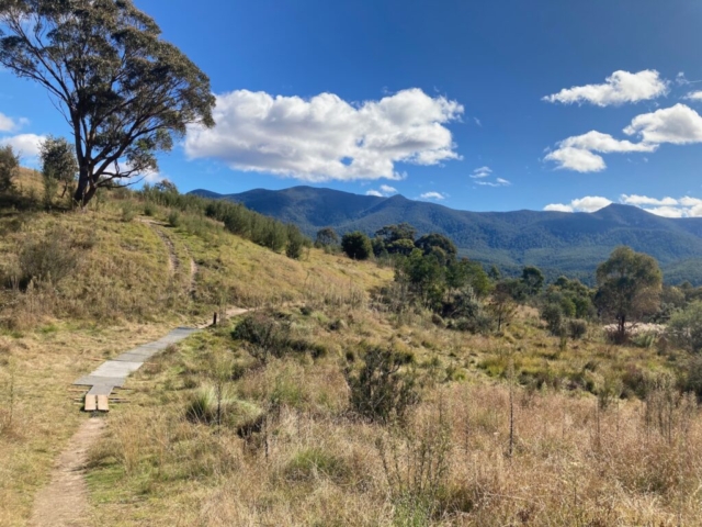 Gibraltar Peak trail